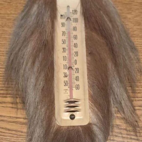 Vintage Rustic Indoor Thermometer - Picture 1 of 7